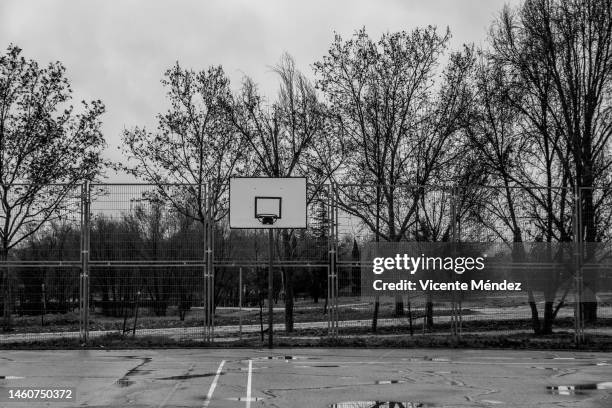 basketball court with nobody - black and white basketball court stock pictures, royalty-free photos & images