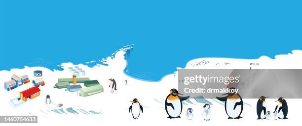 43点のイワトビペンギンイラスト素材 Getty Images 43点のイワトビペンギンイラスト素材 Getty Images