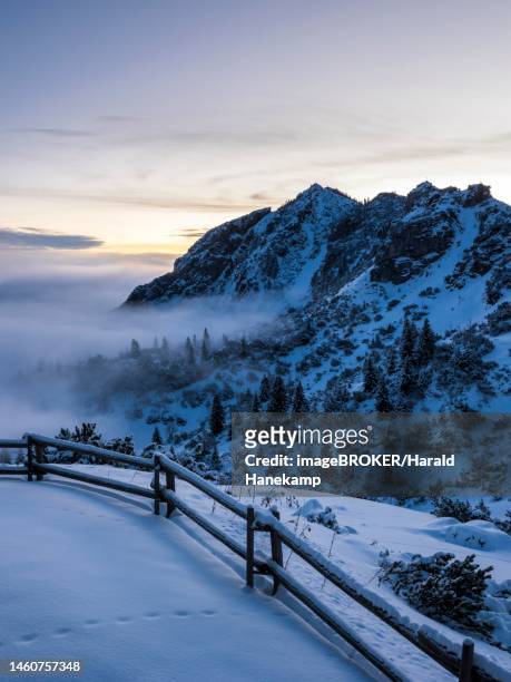 mountain slope with snow at sunrise with clouds and clear sky and high fog, view of lacherspitze, seewandkoepfl, wildalpjoch, kaeserer wand, soinhuette, soinwand, wendelstein, oberaudorf, bavaria, germany - alpen bayern fotografías e imágenes de stock