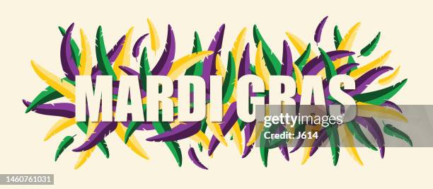 mardi gras feathers - mardi gras banner stock illustrations