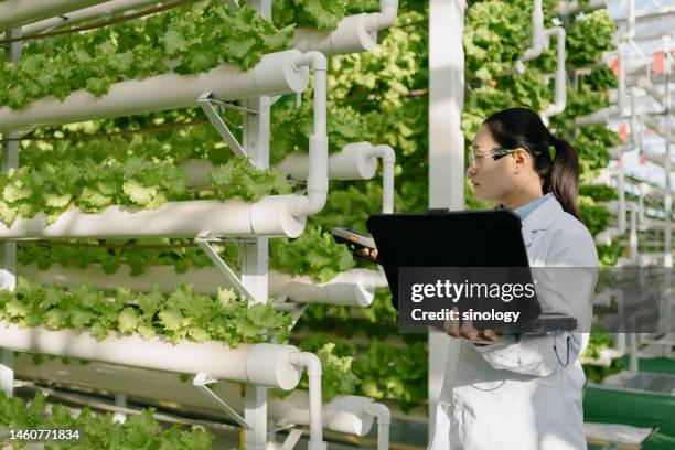 Gmo Label Lab Gmo Food Label Photos and Premium High Res Pictures - Getty Images