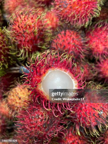 Fermented Rambutan 67 Rambutan Isolated Stock Photos, High-Res Pictures, and Images ...