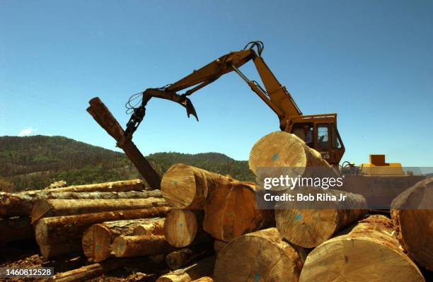 Southern Log Loader Log Loader Photos and Premium High Res Pictures - Getty Images