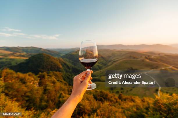 man holding a glass of red wine among hills and mountains, personal perspective view - sunlight through drink glass foto e immagini stock