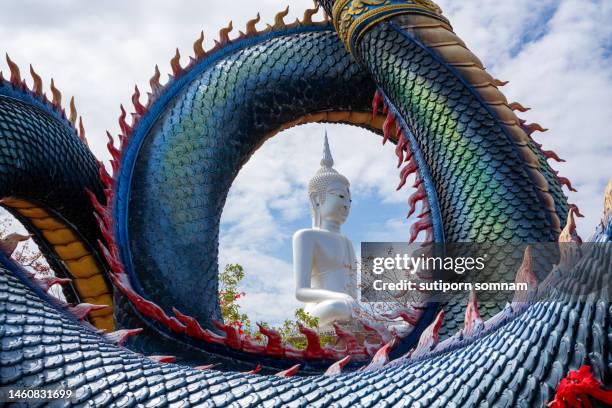 the buddha image is seen through a naga in mukdahan province, thailand. - think big stock pictures, royalty-free photos & images