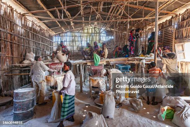 Container Wheat Mill Flour Storage Containers Photos and Premium High Res Pictures - Getty ...
