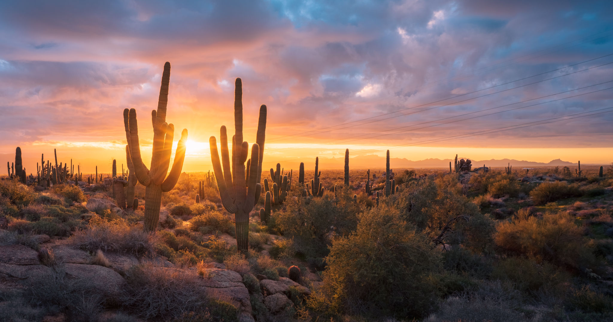 economic growth Phoenix