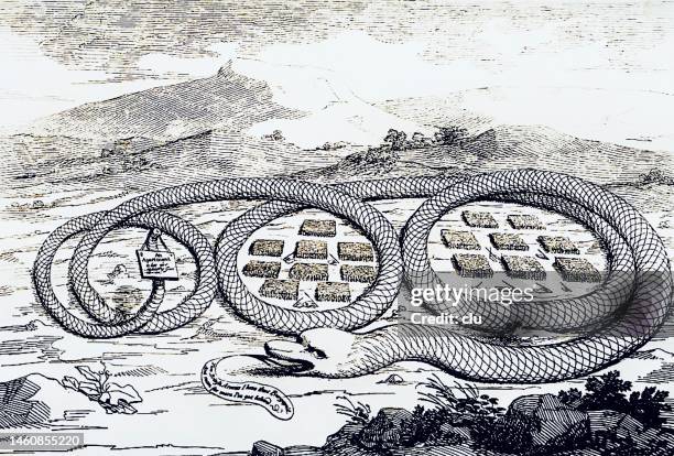 the american rattle snake encircling enemies - imperialismo stock illustrations