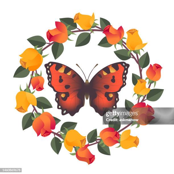 schmetterling und rosen - small tortoiseshell butterfly stock-grafiken, -clipart, -cartoons und -symbole