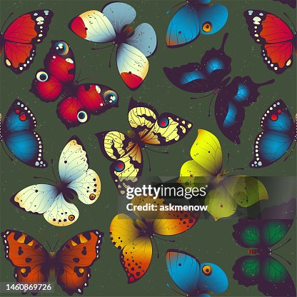 Butterfly pattern Butterfly pattern