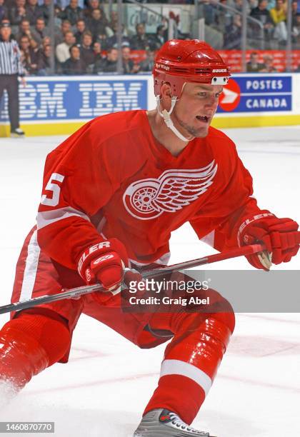 Darren McCarty of the Detroit Red Wings skates against the Toronto Maple Leafs during NHL game action on November 16, 2002 at Air Canada Centre in...