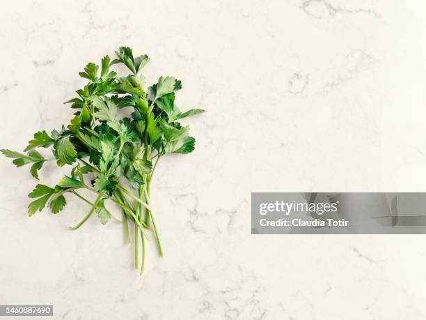 bunch of parsley on white background - coentro imagens e fotografias de stock