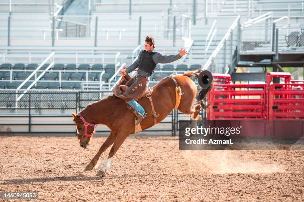 cowboy reitet auf einem bockenden pferd - bucking stock-fotos und bilder