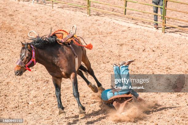 501 Bull Rider Saddle Stock Photos, High-Res Pictures, and Images ...