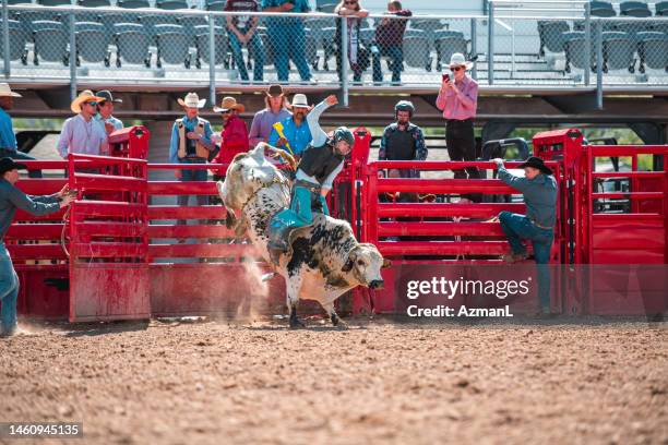 cowboy ridding a bucking bull - bull riding stockfoto's en -beelden