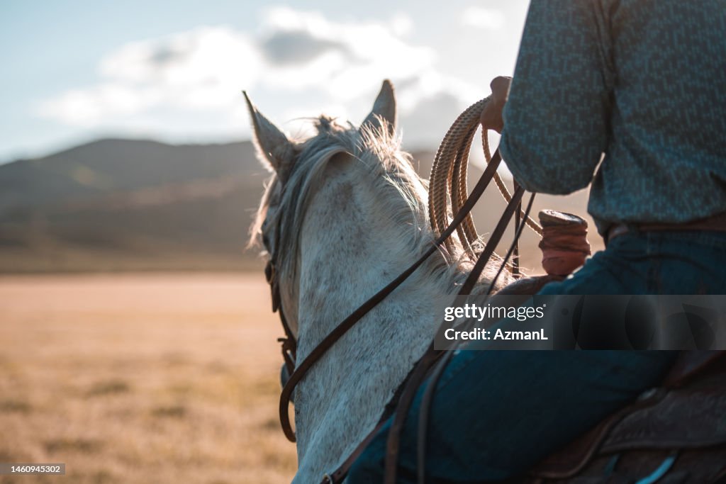 Nahaufnahme eines Pferdes, das von einem Cowboy geritten wird