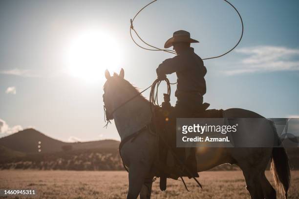 silhouette eines cowboys, der ein lasso dreht - montana landscape stock-fotos und bilder
