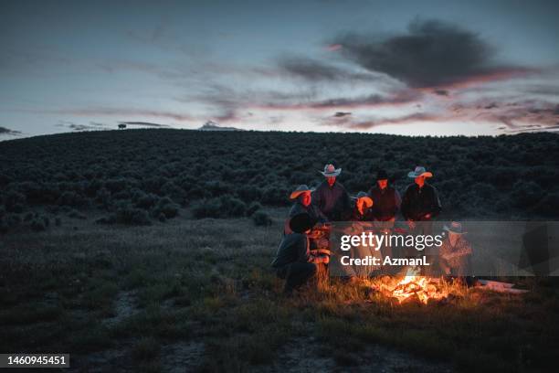 kleine gruppe von community-mitgliedern, die musik am lagerfeuer genießen - brand on guitar stock-fotos und bilder