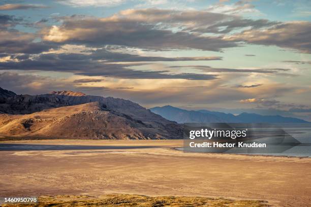 elephant head on antelope island - utah state parks stock pictures, royalty-free photos & images