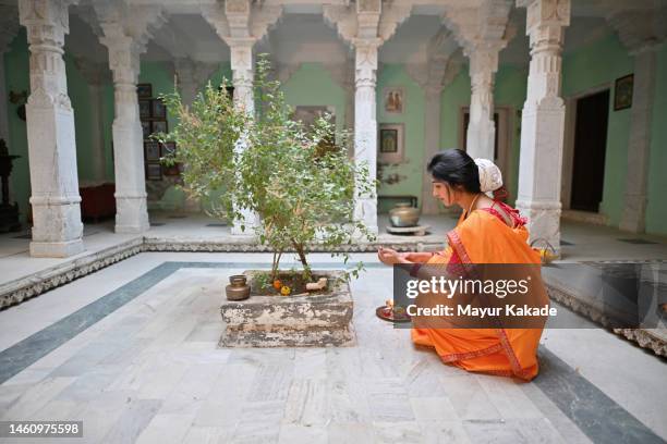 indian woman in a traditional saree performing performing tulsi plant pooja as per indian tradition - tulsi stock pictures, royalty-free photos & images