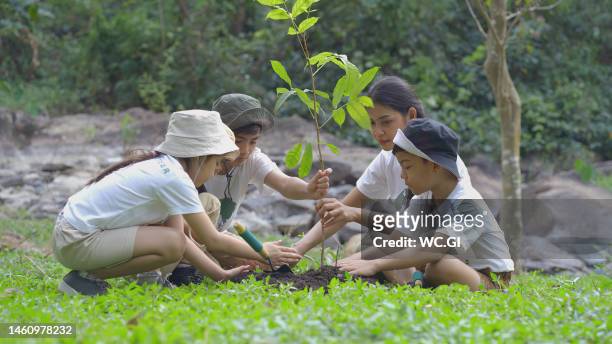 group volunteer planting a forest as save world concept - aufforstung stock-fotos und bilder