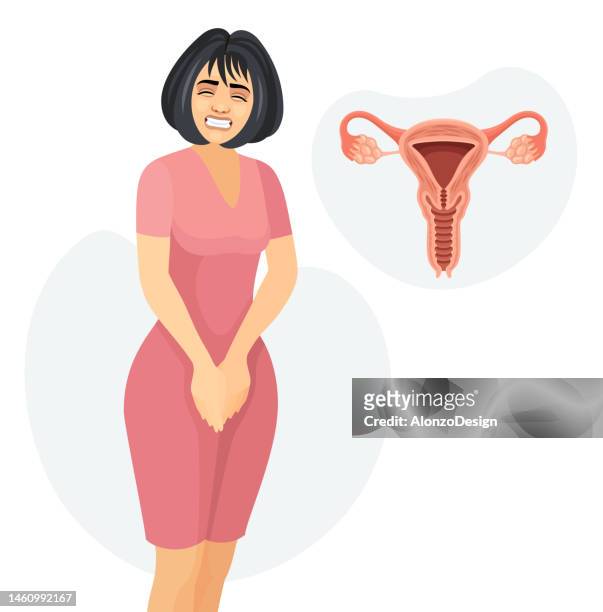 ilustraciones, imágenes clip art, dibujos animados e iconos de stock de mujer joven con un vestido. higiene de la mujer. período de menstruación. incontinencia urinaria. sistema reproductor femenino humano. - ets