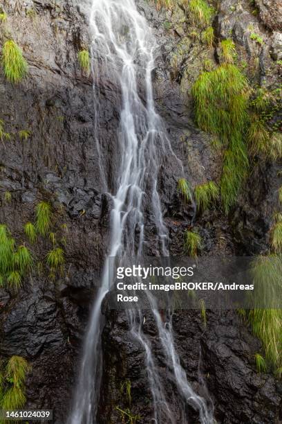 waterfall veu da noiva, sao vicente, madeira, portugal - noiva bildbanksfoton och bilder