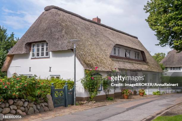 thatched frisian house, foehr, north frisian island, north frisia, schleswig-holstein, germany - foehr island photos et images de collection