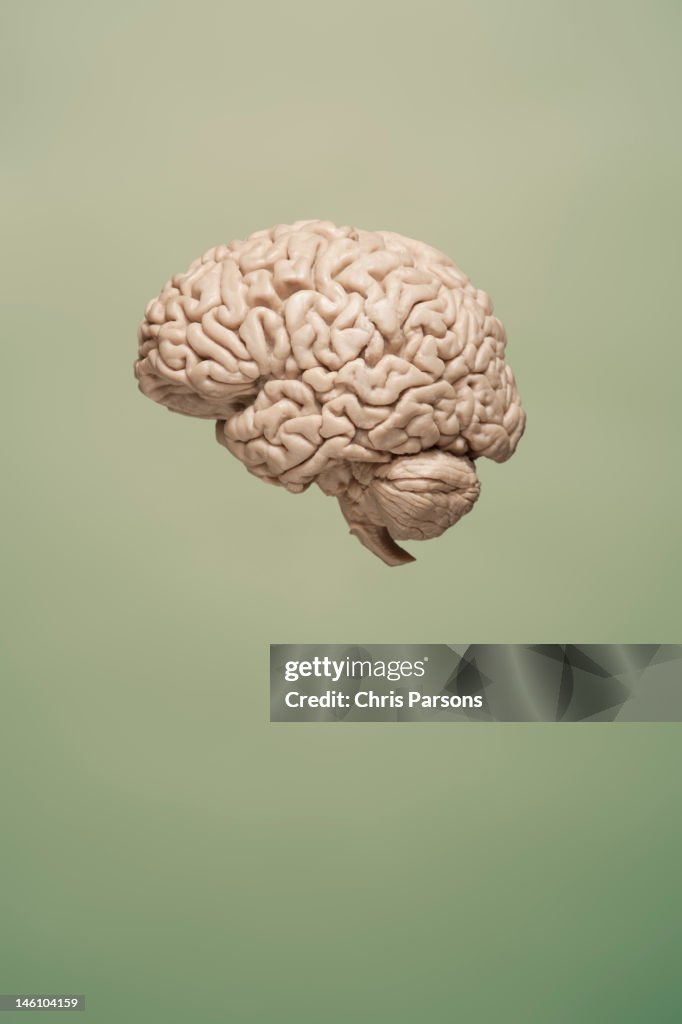 Floating brain on green background