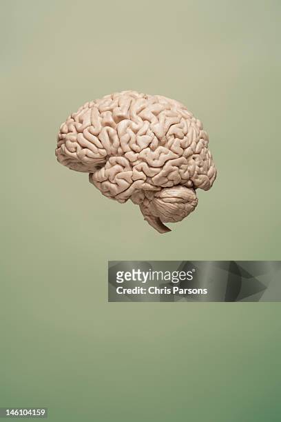 floating brain on green background - human brain stock pictures, royalty-free photos & images
