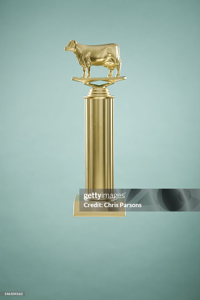 Golden trophy with cow on top.