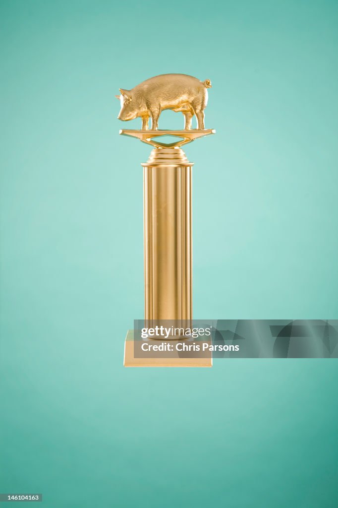 Golden trophy with pig on top