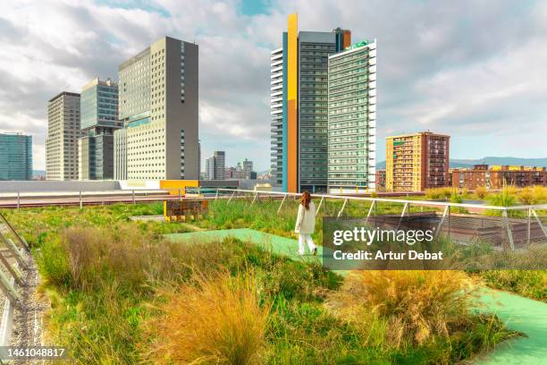 urban garden on building rooftop for greener and sustainable city, with the barcelona skyline at the background. - the roof gardens stock pictures, royalty-free photos & images