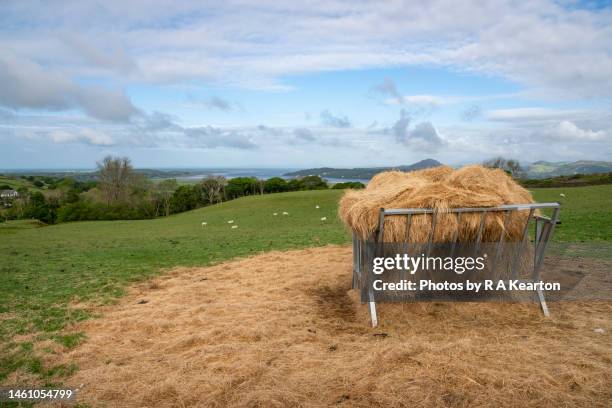 animal feeder with hay in the hills of north wales - trough fotografías e imágenes de stock