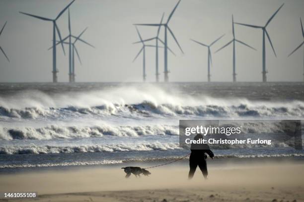 Dog walker braves high winds on Seaton Carew beach on January 31, 2023 in Hartlepool, United Kingdom. Today marks the 3rd anniversary of Brexit when...