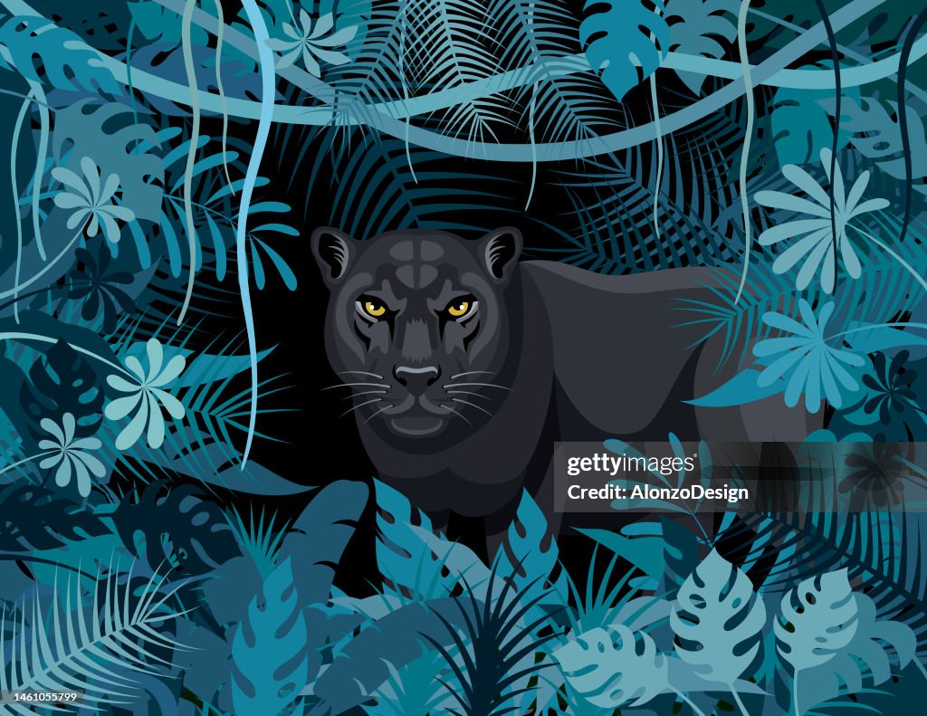 Pantera Negra Salvaje En La Selva Diseño De Logotipo Creativo De Mascotas  Ilustración de stock - Getty Images