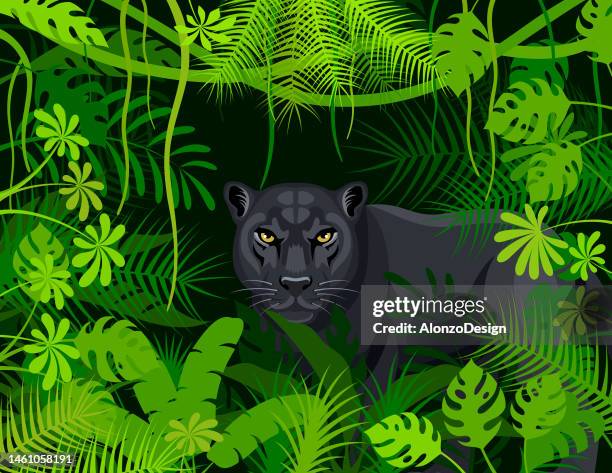 ilustraciones, imágenes clip art, dibujos animados e iconos de stock de pantera negra salvaje en la selva. diseño de logotipo creativo de mascotas. - piel leopardo