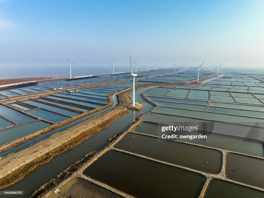 Aerial View of a prawn farm and windmill farm