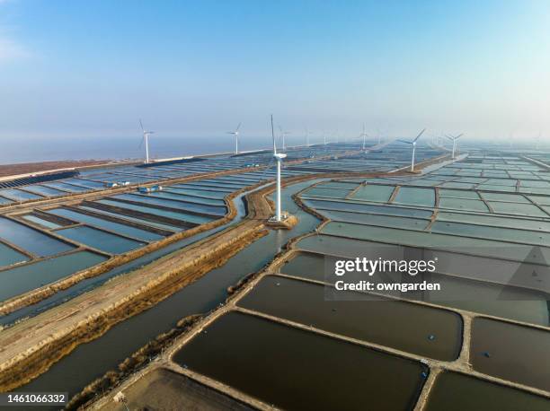 aerial view of a prawn farm and windmill farm - water wastage stock pictures, royalty-free photos & images