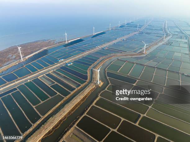 aerial view of a prawn farm and windmill farm - aquaculture stock pictures, royalty-free photos & images