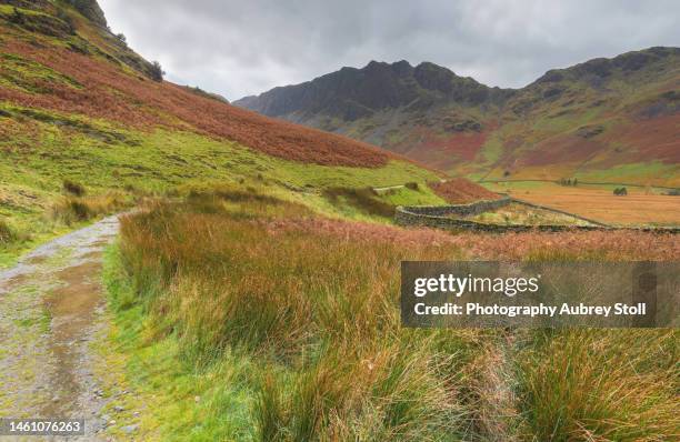 warnscale valley - cumbria stock pictures, royalty-free photos & images
