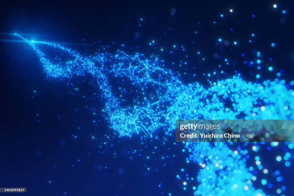 Particle data and network