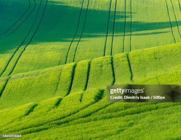 scenic view of agricultural field,south moravian region,czech republic - czech republic landscape stock pictures, royalty-free photos & images