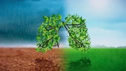 Climate Change Concept Lung Animation High-Res Stock Video Footage - Getty Images Climate Change Concept Lung Animation High-Res Stock Video Footage - Getty Images