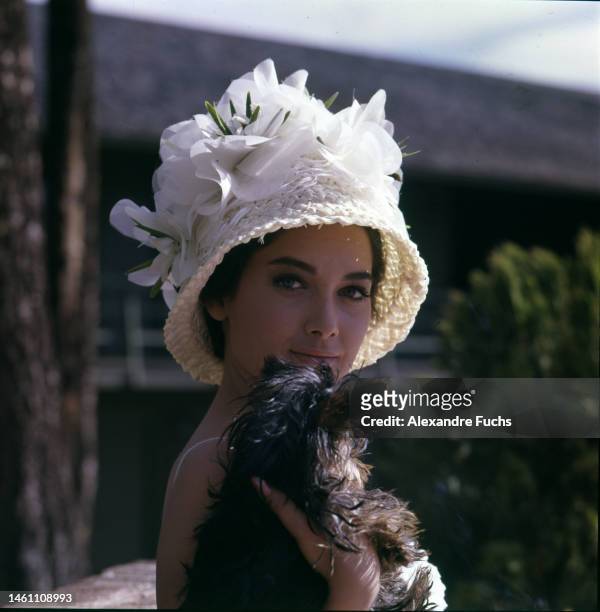 Actress Suzanne Pleshette poses for a portrait with her dog in 1961, at Los Angeles,California.