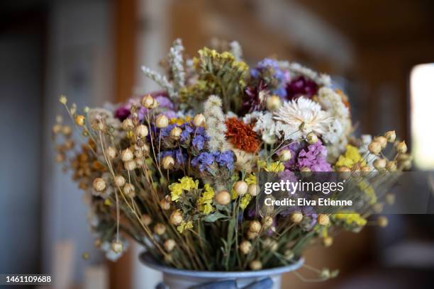 close-up of multi-coloured dried wildflowers in a ceramic jug in a living room. - bouquet de fleurs photos et images de collection