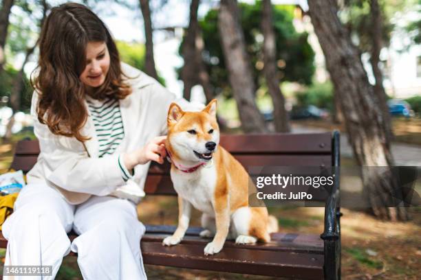 young woman sitting at park bench with her shiba inu dog - shiba inu adult stock pictures, royalty-free photos & images