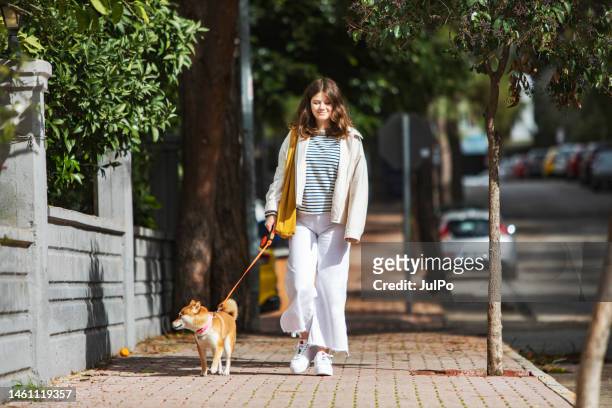 young woman walking with her dog at city street - shiba inu adult stock pictures, royalty-free photos & images