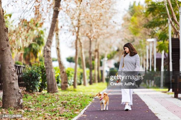 young woman walking in park with her shiba inu dog - cute shiba inu puppies stock pictures, royalty-free photos & images
