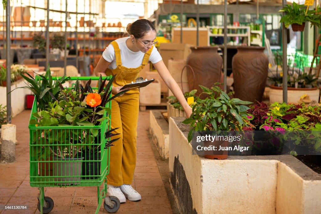 Female gardener checking potted plants near trolley